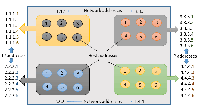 Network address and the host address
