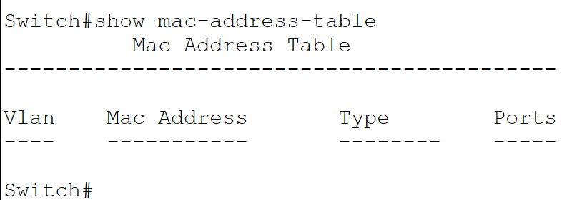 show mac-address-table
