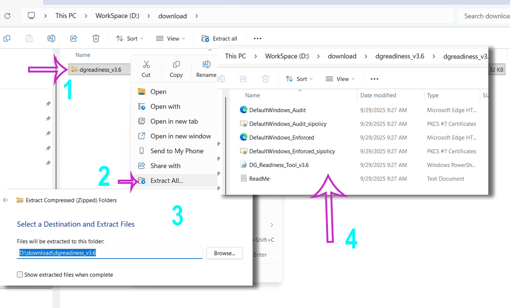 extracting the downloaded file