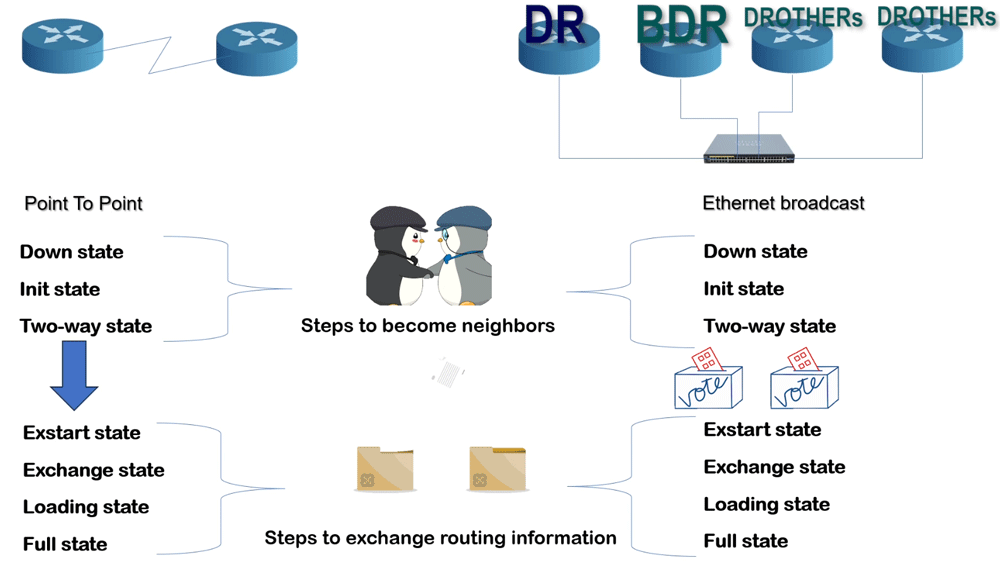 Network type
