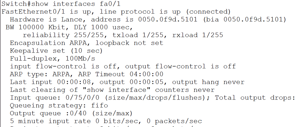 the show interfaces command