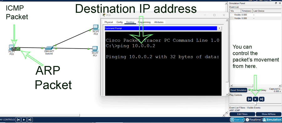 The ping command