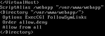 cgi-bin-entry