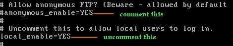 enable-local-login