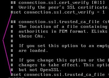 linuxclient-elinks-conf-commented