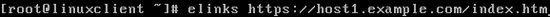 linuxclient-elinks-test-host-index
