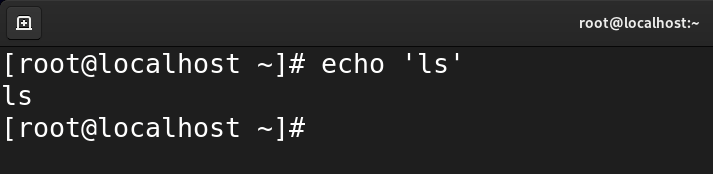 echo command