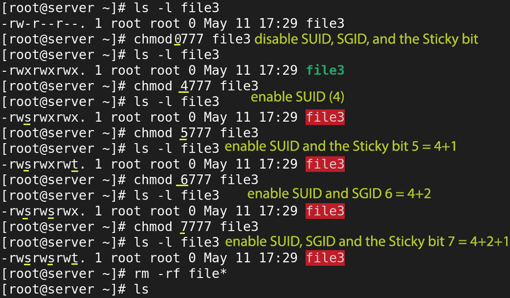 suid, sgid, and the sticky bit examples octal notation