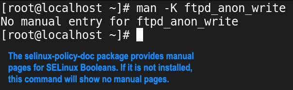 no manual pages