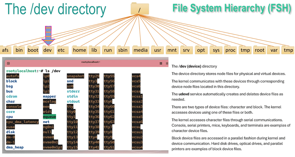 the dev directory