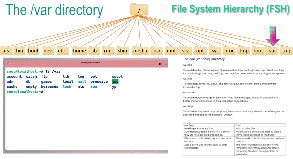 the var directory