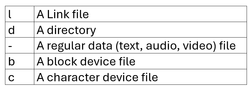 File type