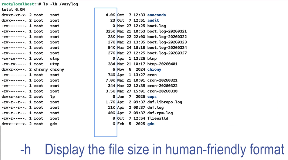 human friendly format