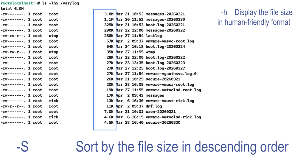 Sorting by size