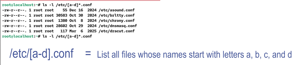 Using wildcards with the ls command