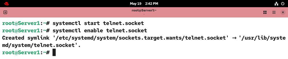 starting the telnet server