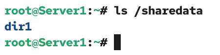 Verifying on the server