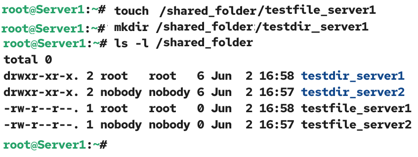 Verify on the nfs server