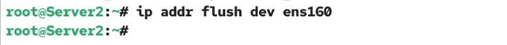 Flush IP address