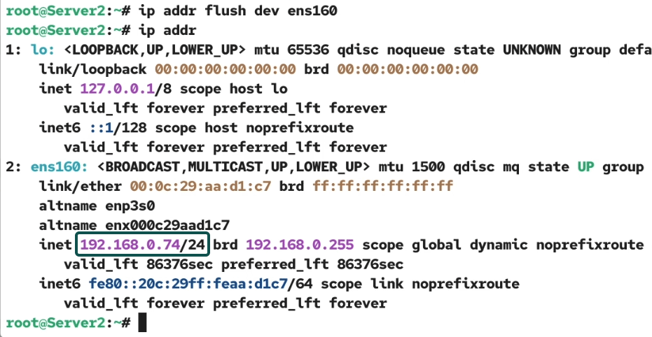 Verifying new IP