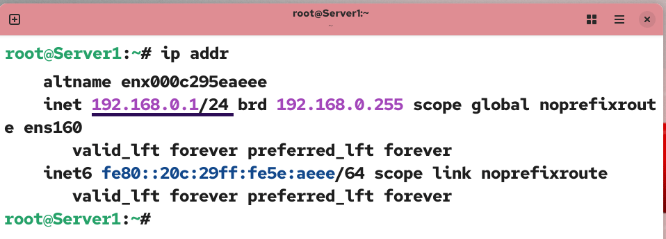 Viewing the IP address