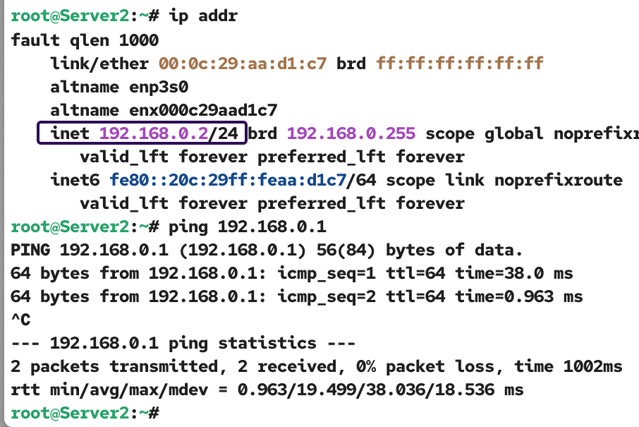 Testing connectivity with the server