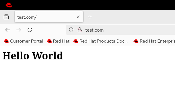 Verifying the web server