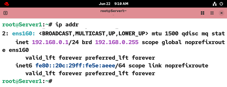 Viewing the ip address