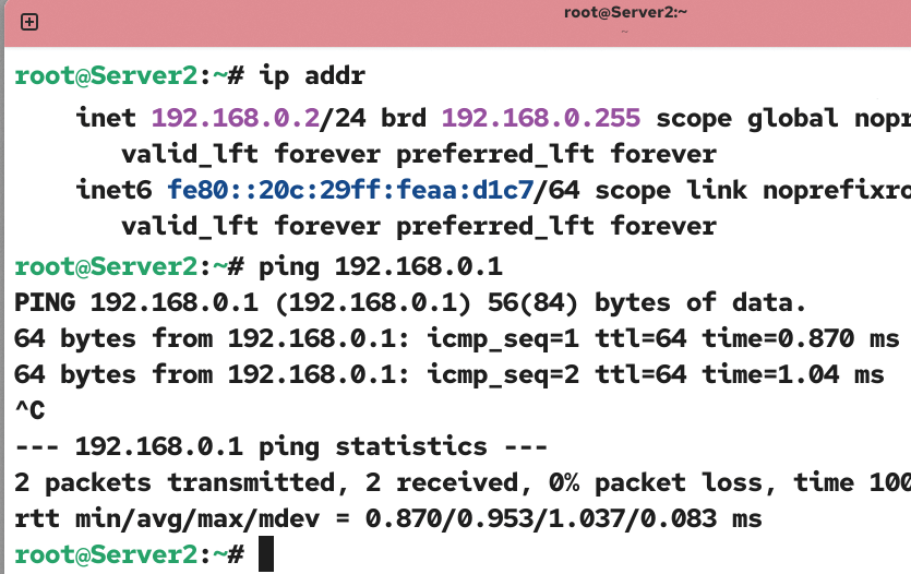 Testing connectivity with the server