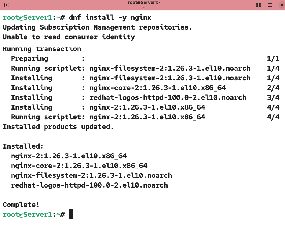 Installing nginx package