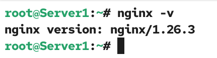 Viewig nginx veriosn
