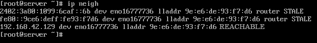 the ip neigh command