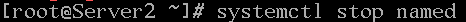 stopping named service
