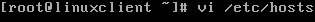 vi-etc-host-linuxclient