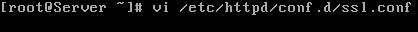 vi-ssl-conf