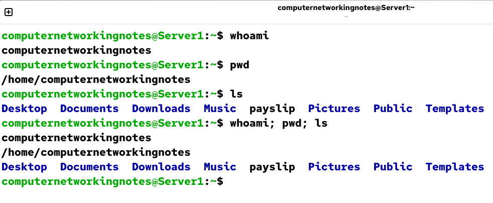running multiple command