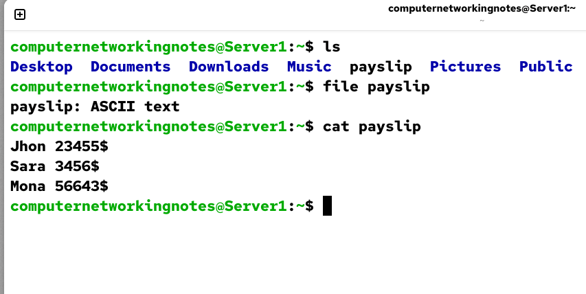 Viewing the file type