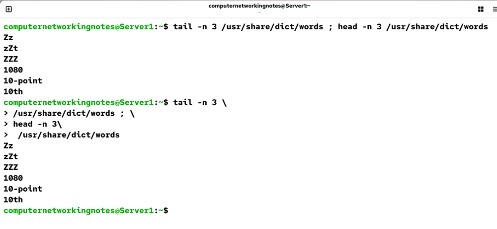 Executing a long command that spans multiple lines