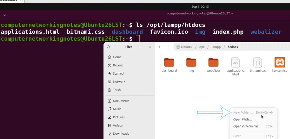 the htdocs folder permission issue
