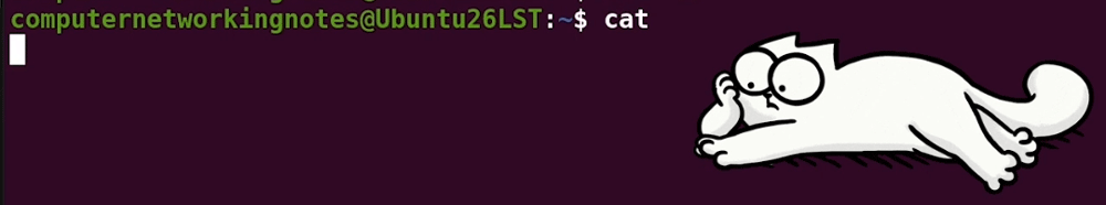waiting for an input