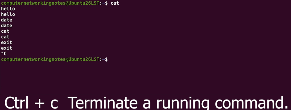 the cat command